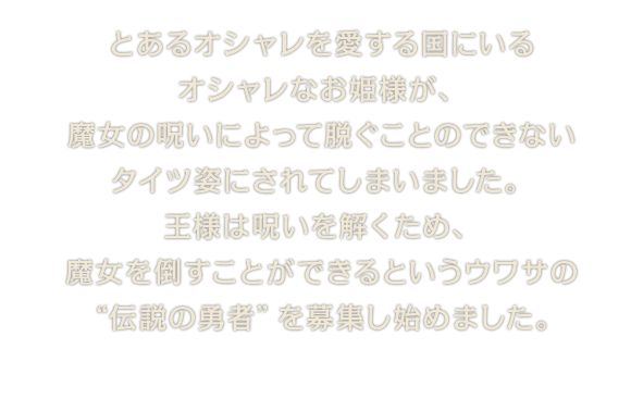 とあるオシャレを愛する国にいるオシャレなお姫様が、魔女の呪いによって脱ぐことのできないタイツ姿にされてしまいました。王様は呪いを解くため、魔女を倒すことができるというウワサの“伝説の勇者”を募集し始めました。