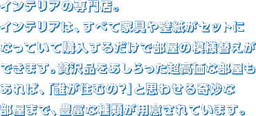 �C���e���A�̐��X�B�C���e���A�́A���ׂĉƋ��ǎ����Z�b�g�ɂȂ��Ă��čw�����邾���ŕ����̖͗l�ւ����ł��܂��B�ґ�i������������������ȕ���������΁A�u�N���Z�ނ́H�v�Ǝv�킹���ȕ����܂ŁA�L�x�Ȏ�ނ��p�ӂ���Ă��܂��B