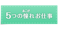 5つの憧れお仕事