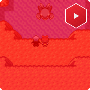 �C���L�����_�b�̃|�P����