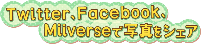 Twitter、Facebook、Miiverseで写真をシェア