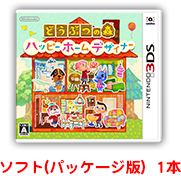 ソフト(パッケージ版) 1本