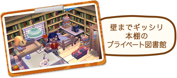 壁までギッシリ本棚のプライベート図書館