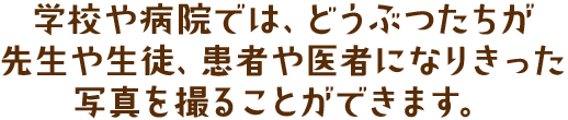 学校や病院では、どうぶつたちが先生や生徒、患者や医者になりきった写真を撮ることができます。
