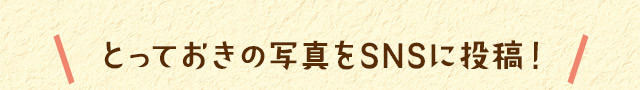 とっておきの写真をSNSに投稿！