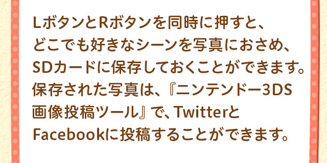 LボタンとRボタンを同時に押すと、どこでも好きなシーンを写真におさめ、SDカードに保存しておくことができます。保存された写真は、『ニンテンドー3DS
画像投稿ツール』で、TwitterとFacebookに投稿することができます。
