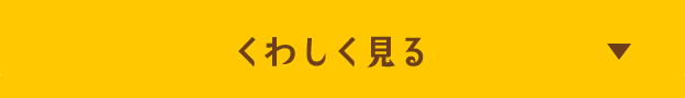 くわしく見る