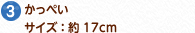 3.؂ TCYF 17cm