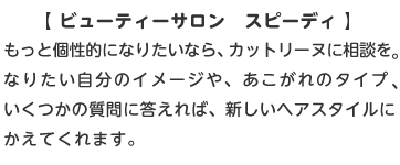 とびだせ どうぶつの森 暮らしの楽しみ方