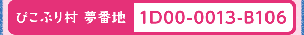 ぴこぷり村 夢番地 1D00-0013-B106