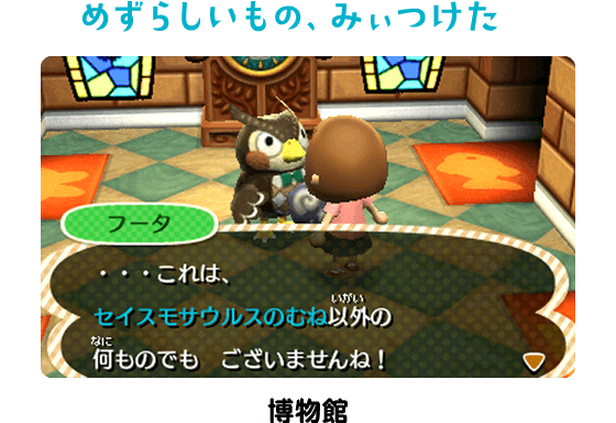 めずらしいもの、みぃつけた　博物館