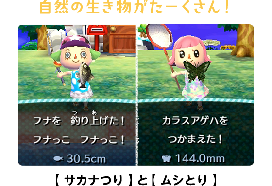 自然の生き物がたーくさん！【 サカナつり 】と【 ムシとり 】