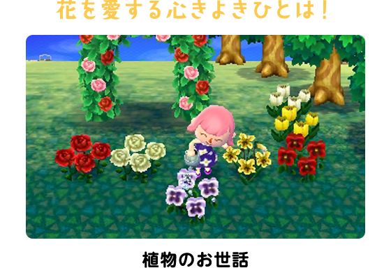 花を愛する心きよきひとは！植物のお世話