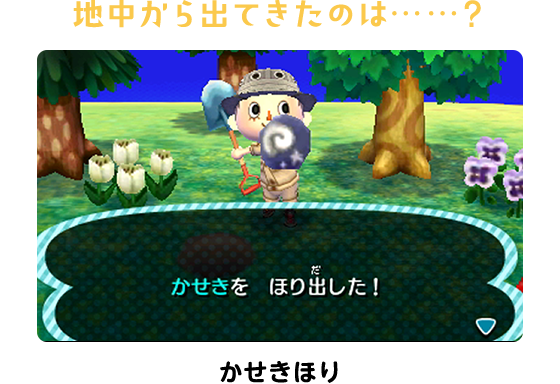 地中から出てきたのは……？かせきほり