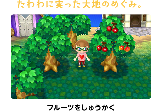 たわわに実った大地のめぐみ。フルーツをしゅうかく