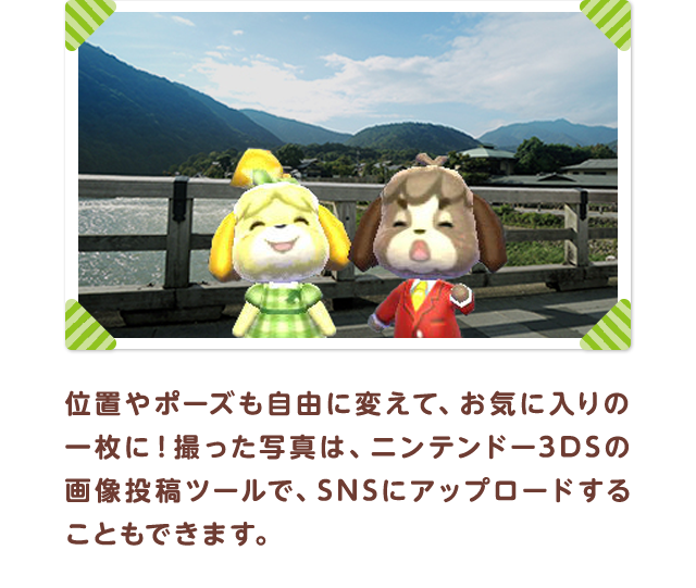 位置やポーズも自由に変えて、お気に入りの一枚に！撮った写真は、ニンテンドー3DSの画像投稿ツールで、SNSにアップロードすることもできます。