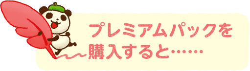 プレミアムパックを購入すると･･････