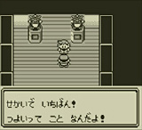 DSi   ポケモングリーン版，ピカチュウ版 ニンテンドー2DS『ポケットモンスター ピカチュウ』限定パック