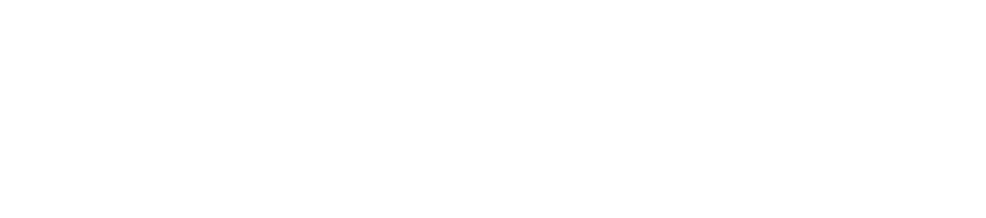 F Zero ニンテンドークラシックミニ スーパーファミコン 任天堂