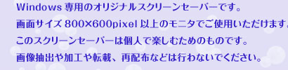 Windowsp̃XN[Z[o[łBʃTCY800~600pixelȏ̃j^łgp܂B̃XN[Z[o[͌lŊyނ߂̂̂łB摜oH]ځAĔzzȂǂ͍sȂłB