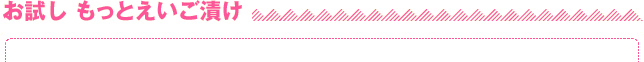 お試し もっとえいご漬け