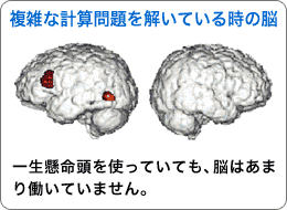 複雑な計算問題を解いているときの脳：一生懸命頭を使っていても、脳はあまり働いていません。