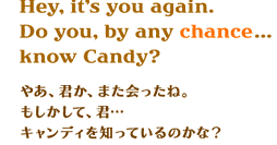 Hey, it's you again.Do you, by any chance...know Candy?@₠ANA܂ˁBāANcLfBmĂ̂ȁH