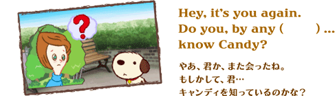Hey, it's you again.Do you, by any (�@) ...know Candy?�@�₠�A�N���A�܂�������ˁB���������āA�N�c�L�����f�B��m���Ă���̂��ȁH