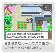 ܂܂ȃ[ŃXSr̃g[i[ƃog܂B