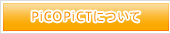PiCOPiCTɂ