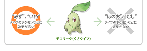 ポケットモンスター ハートゴールド ソウルシルバー 冒険の基本 ポケモンを戦わせる