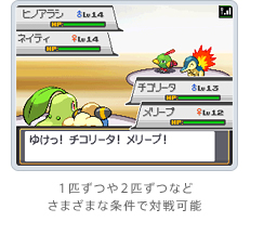 DS ポケットモンスター ソウルシルバー