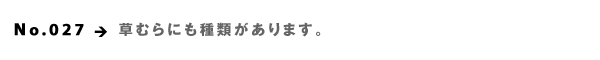 No.027  ނɂނ܂B