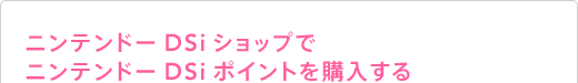 ニンテンドーDSiショップでニンテンドーDSiポイントを購入する