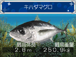 �Q�[�����