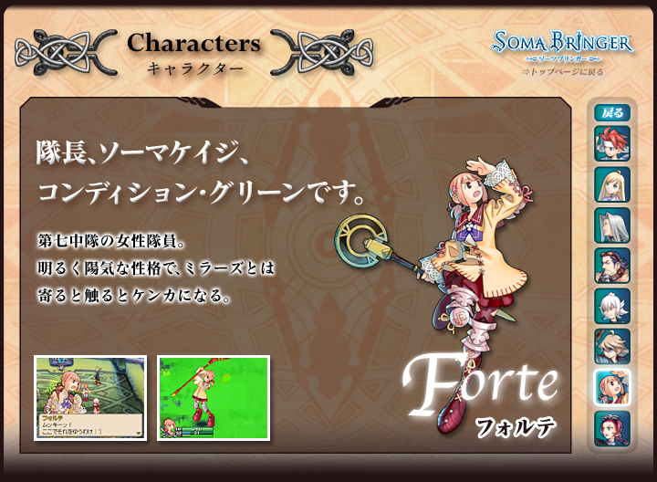 LN^[@tHe@Forte@A\[}PCWARfBVEO[łB@掵̏B邭zCȐiŁA~[YƂ͊ƐGƃPJɂȂB