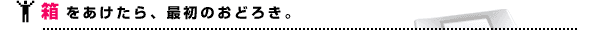 箱をあけたら、最初のおどろき。
