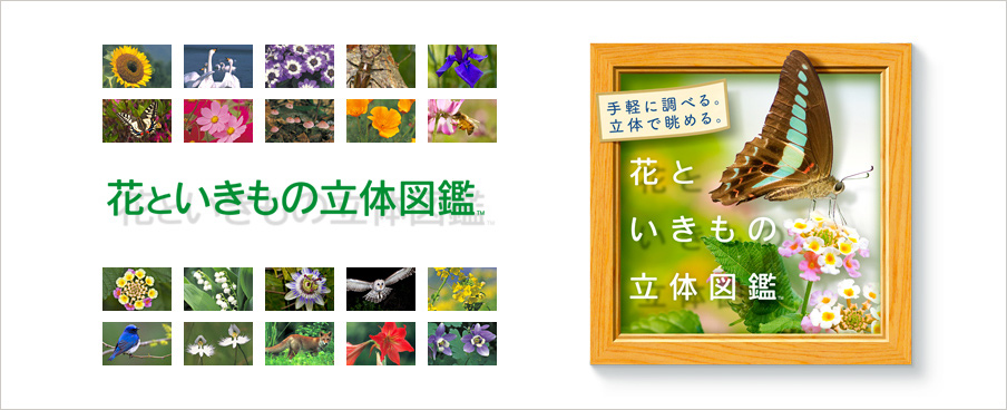花といきもの立体図鑑 - 3DS g6bh9ry