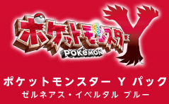 SPECIAL PACK for ニンテンドー3DS + ポケットモンスターX