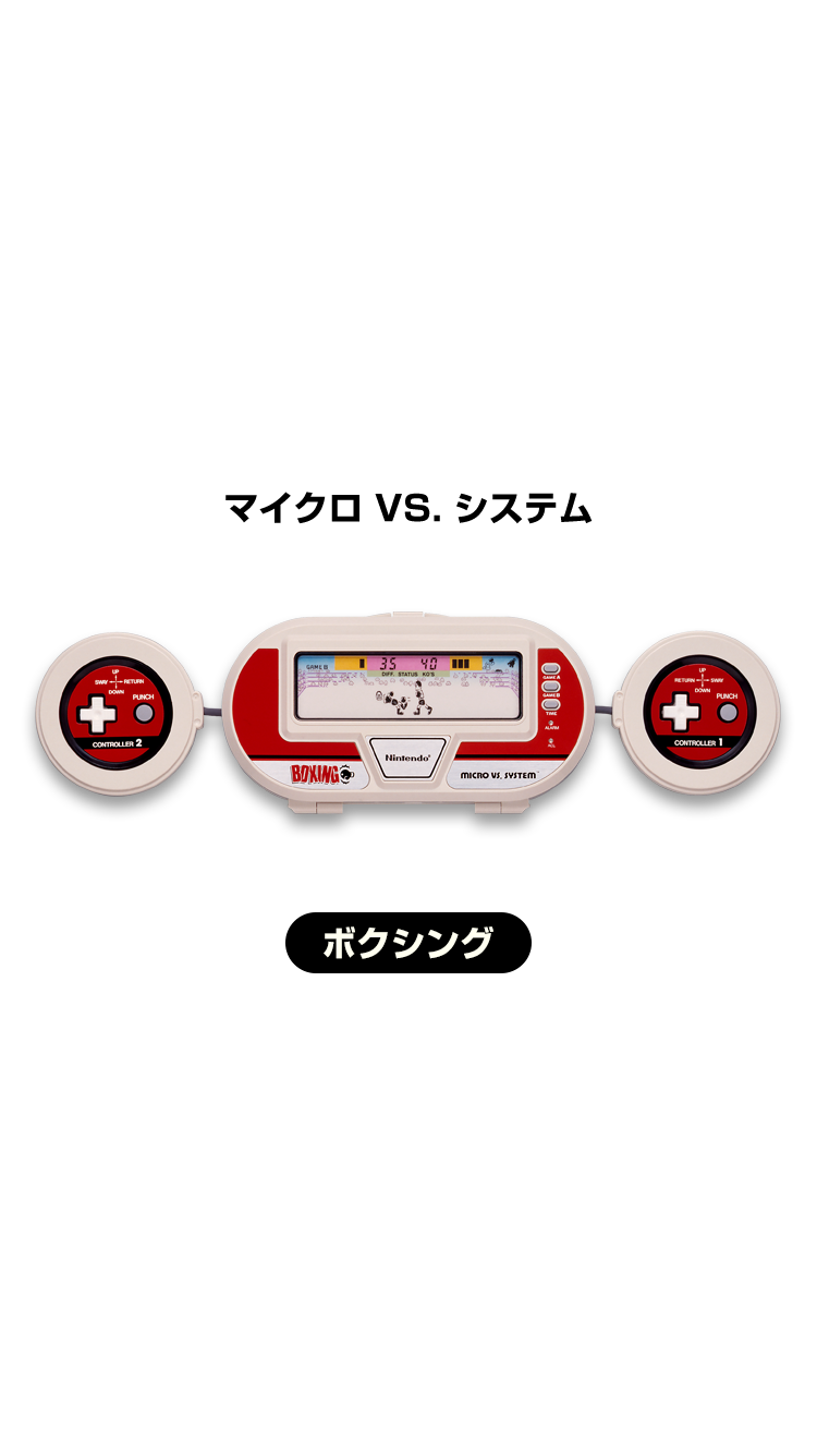 マイクロ VS. システム［MICRO VS. SYSTEM］ ボクシング