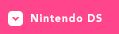 Nintendo DS