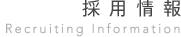 採用情報
