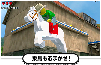 乗馬もおまかせ！