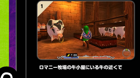 ロマニー牧場の牛小屋にいる牛の近くで