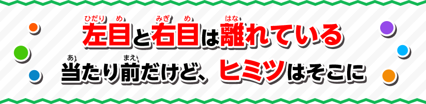 左目と右目は離れている当たり前だけど、ヒミツはそこに