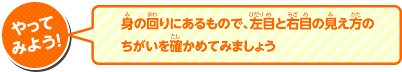 やってみよう！身の回りにあるもので、左目と右目の見え方のちがいを確かめてみましょう