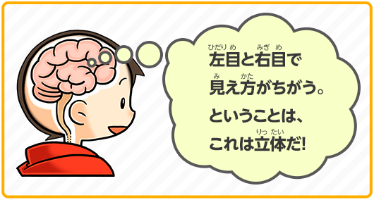 左目と右目で見え方がちがう、、ということは、これは立体だ！