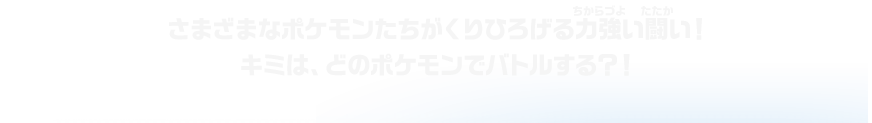 さまざまなポケモンたちがくりひろげる力強い闘い！キミは、どのポケモンでバトルする？！