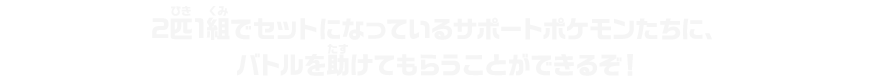 2匹1組でセットになっているサポートポケモンたちに、バトルを助けてもらうことができるぞ！
