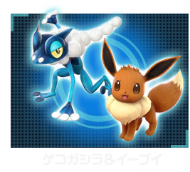 ゲコガシラ＆イーブイ